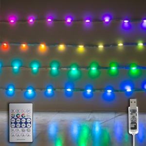Banda LED Smart RGBW cu USB & Telecomanda 2.45m