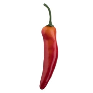 Ardei Iute Chili Artificial din Plastic 15cm