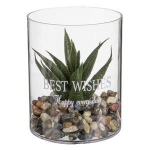 Vaza din Plastic Transparent cu Planta Verde Ø8x10cm